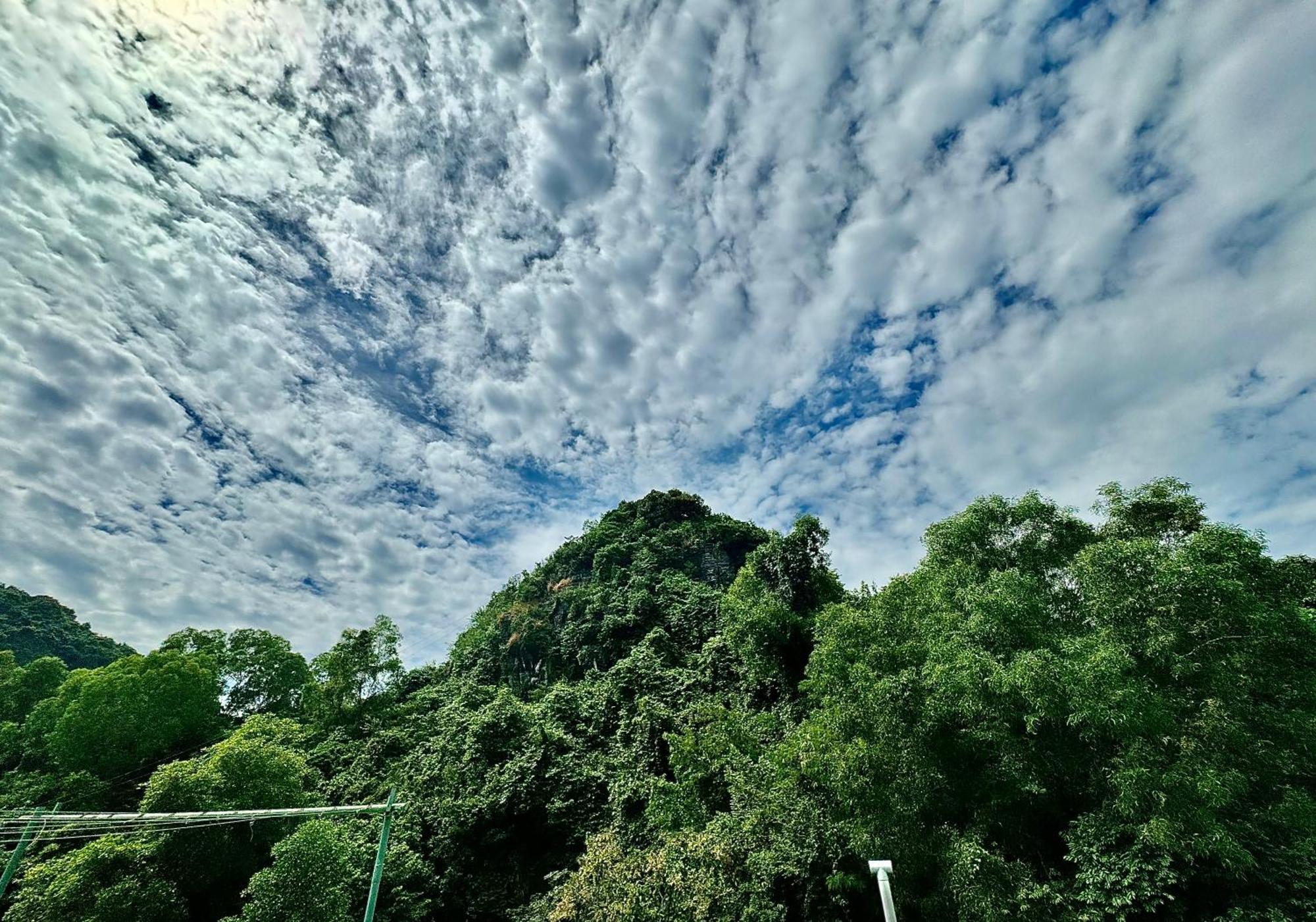 Sunflower Catba Hotel Dong Khe Sau Экстерьер фото